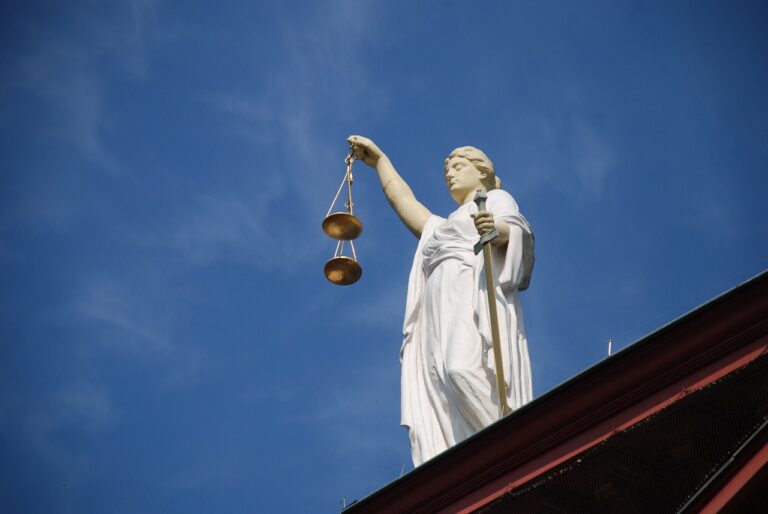 case-law, lady justice, justice-677940.jpg